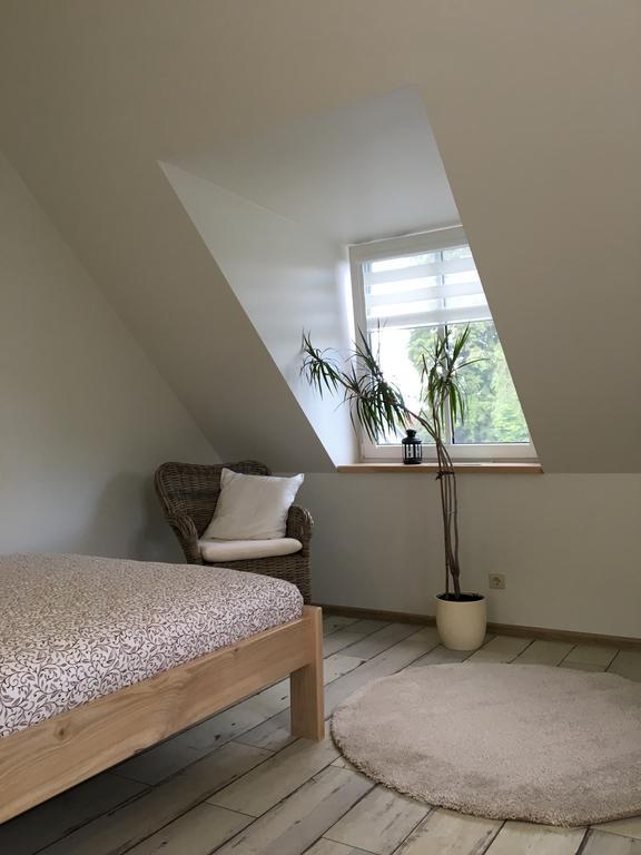 דרוסקינינקאי Inga Vacation House מראה חיצוני תמונה