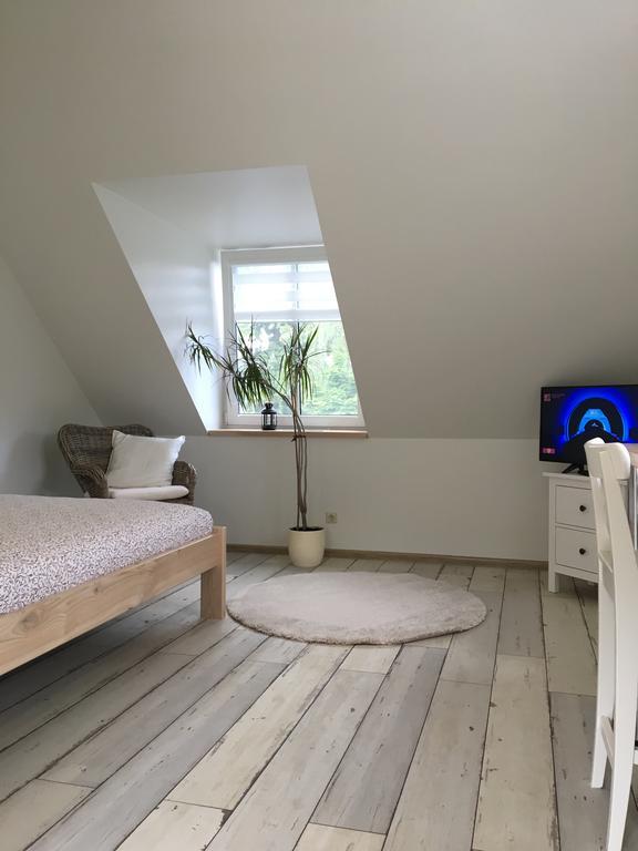 דרוסקינינקאי Inga Vacation House מראה חיצוני תמונה