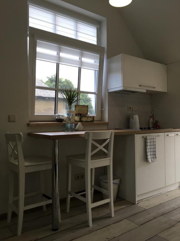 דרוסקינינקאי Inga Vacation House מראה חיצוני תמונה