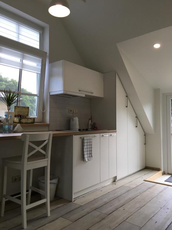 דרוסקינינקאי Inga Vacation House מראה חיצוני תמונה